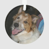 ペット初めてのクリスマス2フォトレッド&ブラックプレイド オーナメント (裏面)