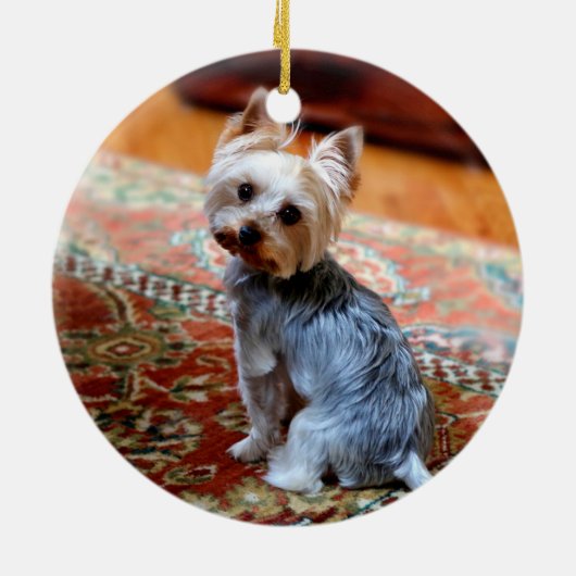 ペット初めてのクリスマス2枚の写真2面フローラ セラミックオーナメント (裏面)