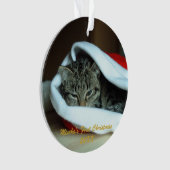 ペット初めてのクリスマス オーナメント (正面)