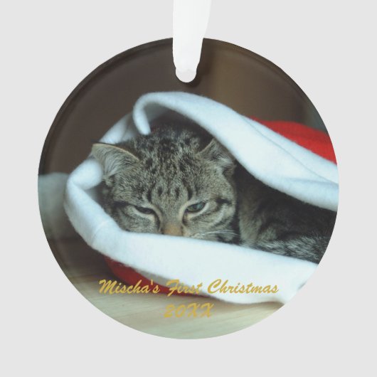 ペット初めてのクリスマス オーナメント (正面)