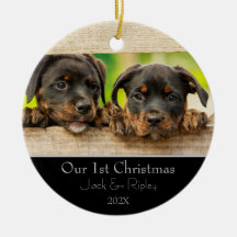 ペット初めてのクリスマス