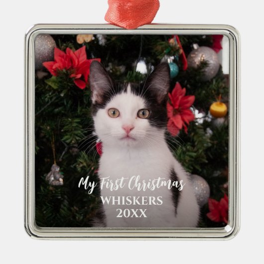 ペット初めてのクリスマス モダン メタルオーナメント (正面)