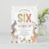 ペット動物園の6歳の誕生日パーティーの招待状 招待状 (スタンド正面)