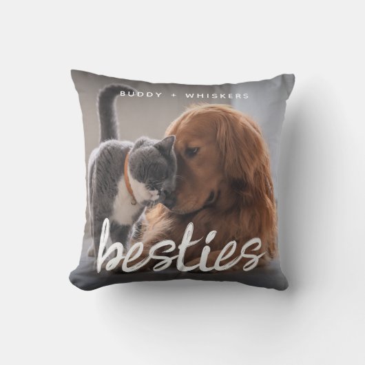 ペット友達の犬と猫の写真ギフト クッション (正面)