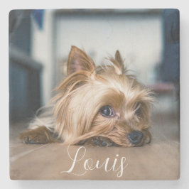 ペット名ストーンコースター ストーンコースター