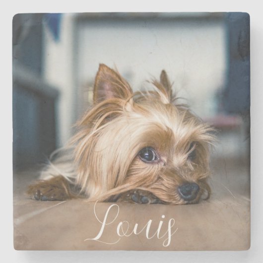 ペット名ストーンコースター ストーンコースター (正面)