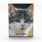 ペット名 フォトブロック (正面)