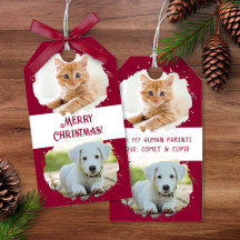 ペット好きな方のためのクリスマス オリジナルグッズ 写真2枚 クリスマス