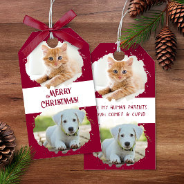 ペット好きな方のためのクリスマス オリジナルグッズ 写真2枚 クリスマス ギフトタグ