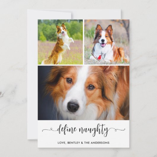 ペット定義いけなドッグフォトコラージョスクリスマス シーズンカード (正面)