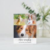 ペット定義いけなドッグフォトコラージョスクリスマス シーズンポストカード (スタンド正面)