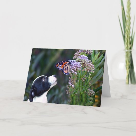 ペット座ってくれてありがとう サンキューカード (正面)