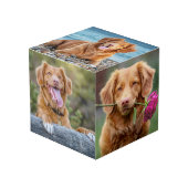 ペット形容姿の子犬の写真 フォトキューブ (正面アングル)