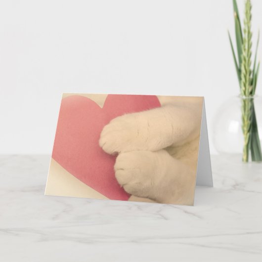 ペット恋人のための挨拶状 カード (正面)