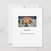 ペット悔やみや弔慰は応答の写真の平らなカード感謝していしています サンキューカード (裏面)