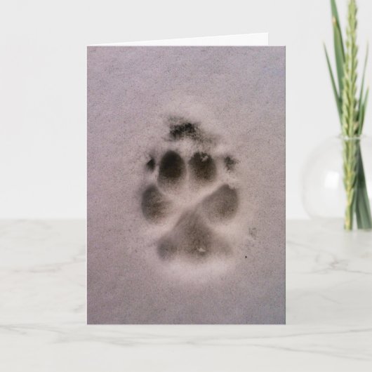 ペット悔やみや弔慰または救助カード(犬) カード (正面)