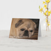 ペット悔やみや弔慰カードパグ カード (黄色い花)