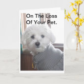 ペット悔やみや弔慰カード カード (黄色い花)