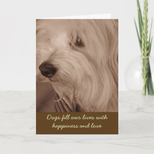 ペット悔やみや弔慰カード--セピア色の白犬 カード (正面)