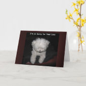 ペット悔やみや弔慰カード-マルタ犬の祈ること カード (黄色い花)