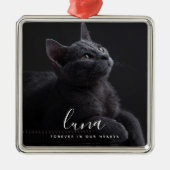 ペット悔やみや弔慰写真記念トリビュート メタルオーナメント (正面)