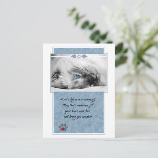 ペット悔やみや弔慰獣医用キャットポストカード ポストカード (スタンド正面)