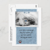 ペット悔やみや弔慰獣医用キャットポストカード ポストカード (正面/裏面)