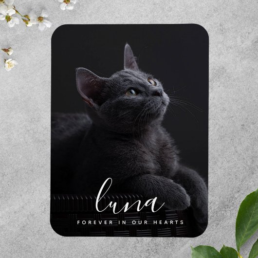 ペット悔やみや弔慰記念献上品 マグネット