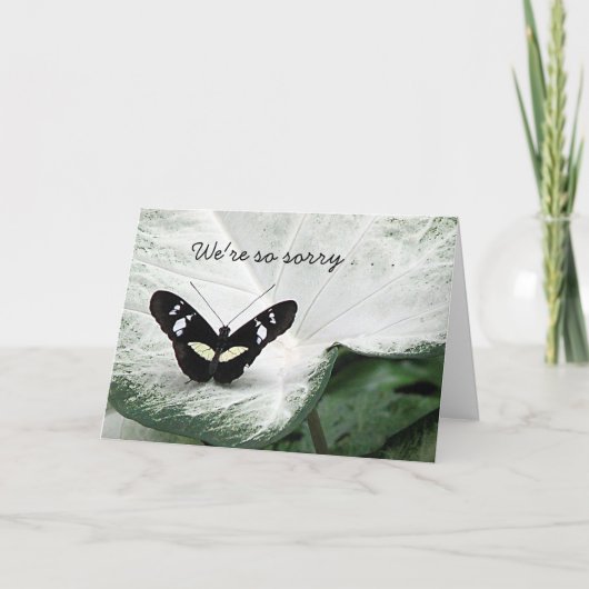 ペット悔やみや弔慰 カード (正面)