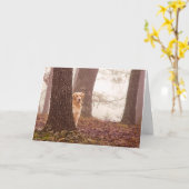 ペット悔やみや弔慰 カード (黄色い花)