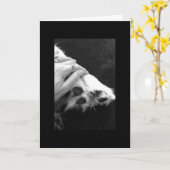 ペット悔やみや弔慰 カード (黄色い花)