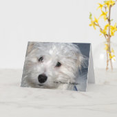 ペット悔やみや弔慰 – 犬の損失 カード (黄色い花)