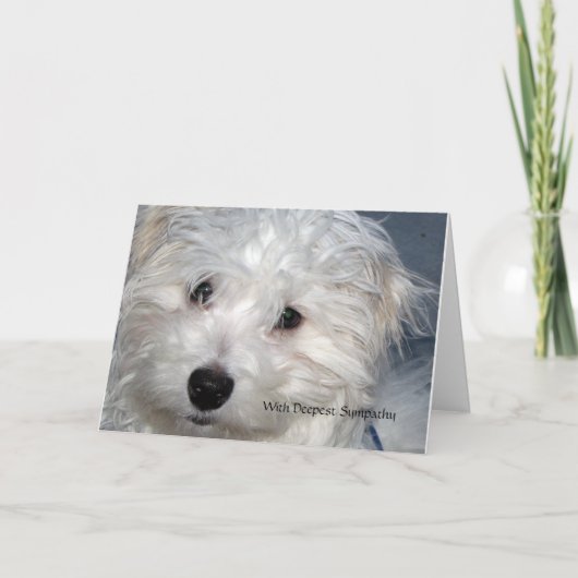 ペット悔やみや弔慰 – 犬の損失 カード (正面)