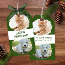 ペット愛好家のためのオリジナル2枚の写真 グリーン クリスマス