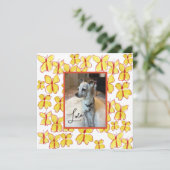 ペット愛好家のフレーム入り写真カード (スタンド正面)