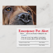 ペット所有者のための緊急ペット警報カード コーリングカード (正面/裏面)