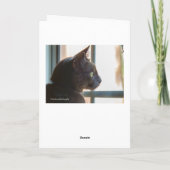 ペット挨拶状のブランクの損失のための悔やみや弔慰 カード (裏面)