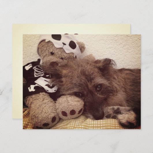 ペット損失記念カードにハートを印刷する (正面/裏面)