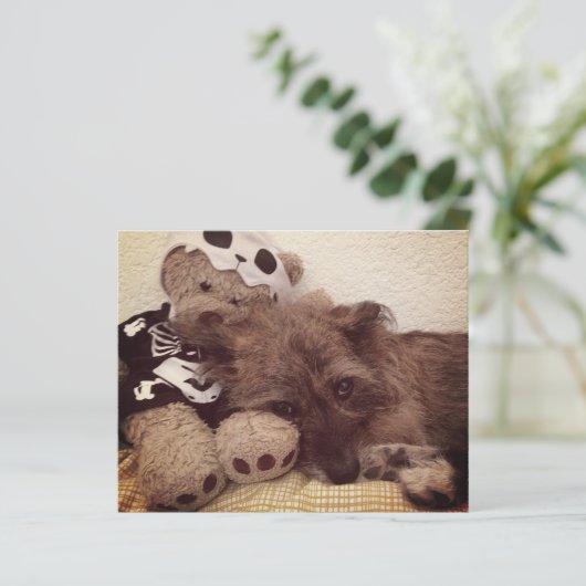 ペット損失記念カードにハートを印刷する (スタンド正面)