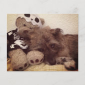 ペット損失記念カードにハートを印刷する (正面)