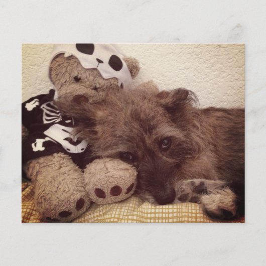 ペット損失記念カードにハートを印刷する (正面)