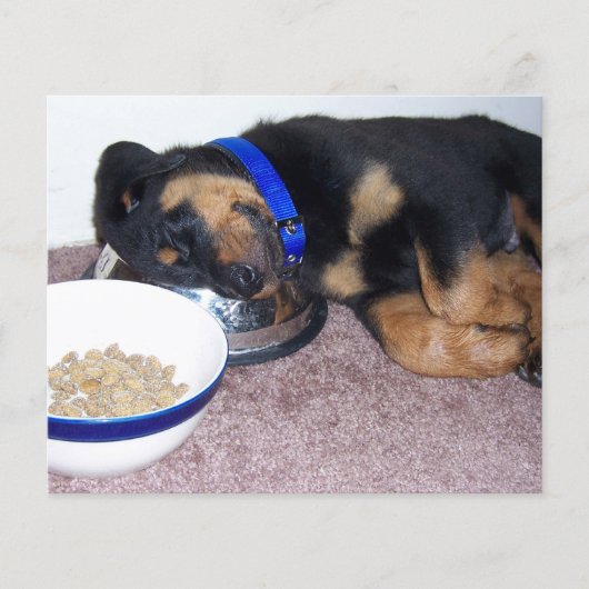 ペット損失記念カードにハートを印刷する (正面)