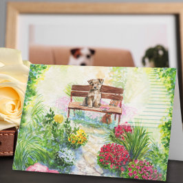 ペット損失階段から天国追悼 カード