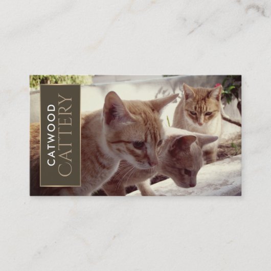 ペット搭乗サービス 名刺 (正面)