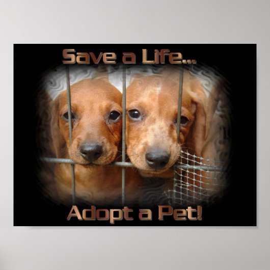ペット救のポスターを採用した人生 ポスター (正面)