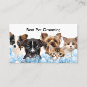 ペット最高のグルーミングアポイントメントカードデザイン 予約カード (正面)