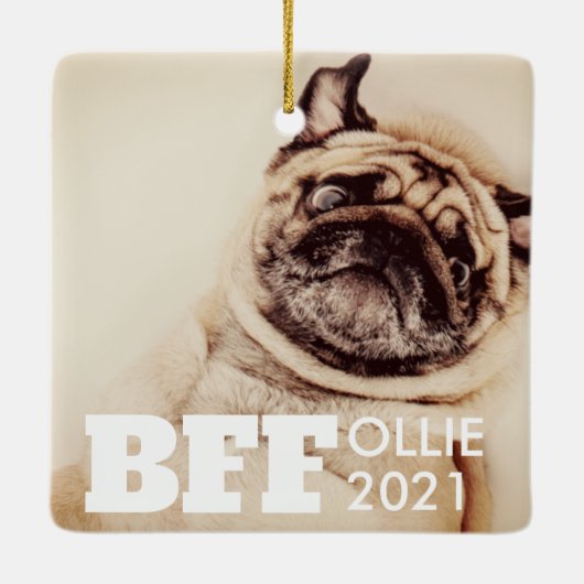 ペット最高のフレンズフォーエバーシンプルモダン写真 セラミックオーナメント (裏面)