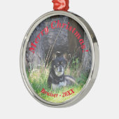 ペット最高のフレンドフォーエバーキープサプライズ メタルオーナメント (左)