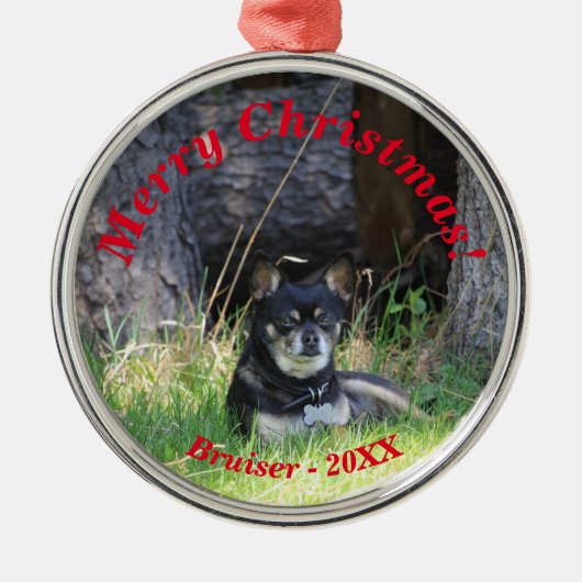 ペット最高のフレンドフォーエバーキープサプライズ メタルオーナメント (正面)