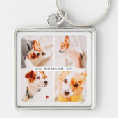 ペット最高のメモリドッグエバモダンー写真コラージュ キーホルダー (正面)